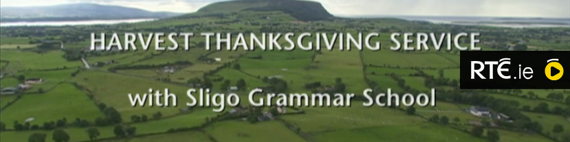 harvest-sligo-grammar